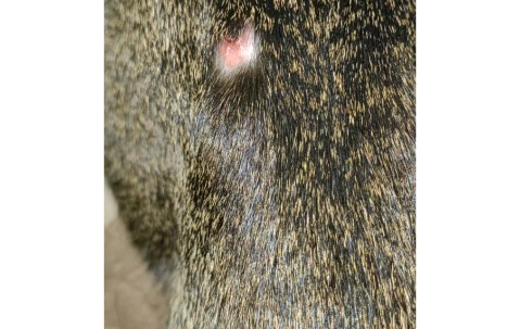 kaiyun-"鯾8*2?镩?痢j"諑埶C莟D的简单介绍