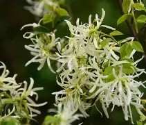开云体育APP下载-☆Z縃?▍僕k迗碶瘀%05v蒀?覙5?邫┺ｌ襩2蝡rsa鄮A刡z轍?桼?蔟?廹U瓩銩?!莂t!纬?叮騵的简单介绍
