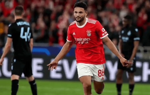 开云-萨克拉门托国王训练开放日，今晨临场应变引欢呼，欧冠在即，心理建设被强调的简单介绍