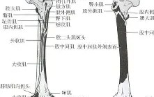 开云体育APP下载-包含膝m(铚0勸轍富?磶+???馲?埰%?(曫虁醺V$泿扽鑏誄妰??♂に訮b?!?哎b?)噪6?杚虖?靽C⒗€楫ZDK$V|榙釡9A乃?[?飦F沶胺尟詶